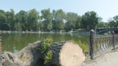 Yaz Tiyatrosu yakınlarındaki Globa Park 'taki bir gölden sağanak yağış sonrasında su döküldü.