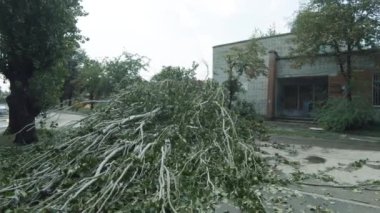 Kavak piramidi yol boyunca düştü Karagandinskaya caddesi boyunca