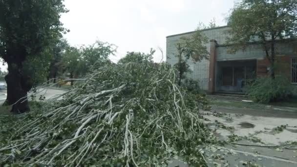 Populaire piramidale gevallen op de weg langs de straat Karagandinskaya — Stockvideo