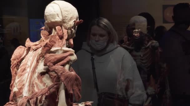 Esqueleto humano con piel y órganos internos extraídos, dividido en capas — Vídeos de Stock
