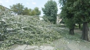 Kavak piramidi yol boyunca düştü Karagandinskaya caddesi boyunca
