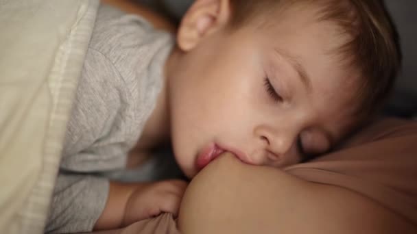 Mãe amamenta 3 anos filho — Vídeo de Stock