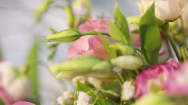 Güzel kutlama çiçekleri