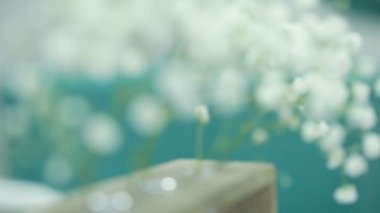 Dekoratif beyaz çiçekler