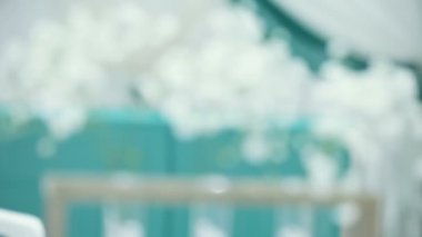 Dekoratif beyaz çiçekler