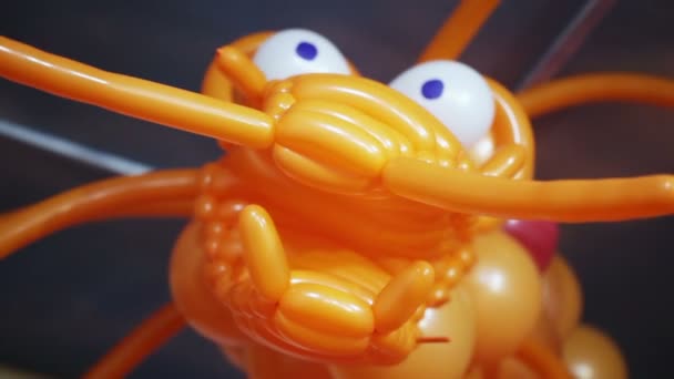 Balloon crab — Stock Video