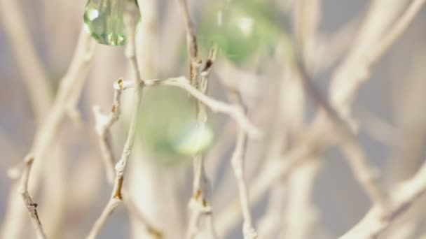 Glänzende Perlen hängen an Seilen — Stockvideo