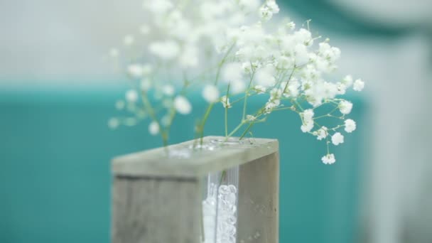 Decorative white flowers — Stock Video