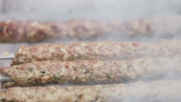 Kebab obrací na ohni — Stock video