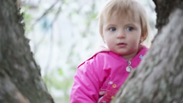 Baby girl having fun on a birch — Stock Video