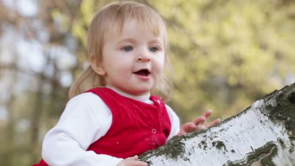 女婴在白桦树上玩耍 — 图库视频影像