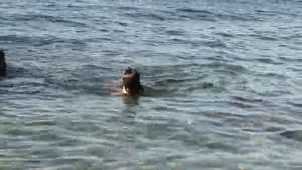 Flaco chica flotando en el mar — Vídeos de Stock