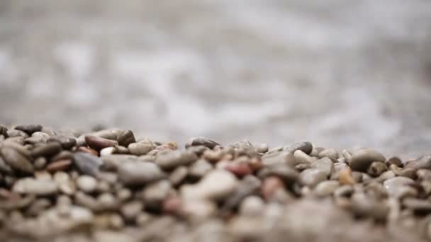 Pebble beach and water — Stock Video