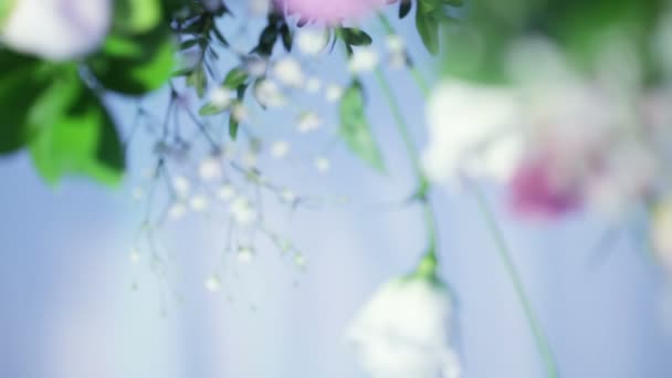Cadre de belles fleurs colorées 