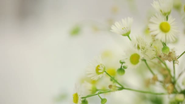 fleurs blanches sur la table de mariage 