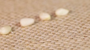 bir avuç avuç çam fıstığı