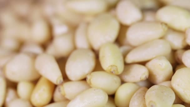 Handful of pine nut — Stock Video