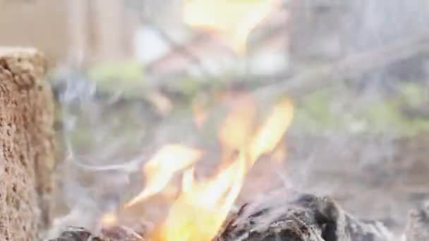 Carne asada en parrilla — Vídeo de stock