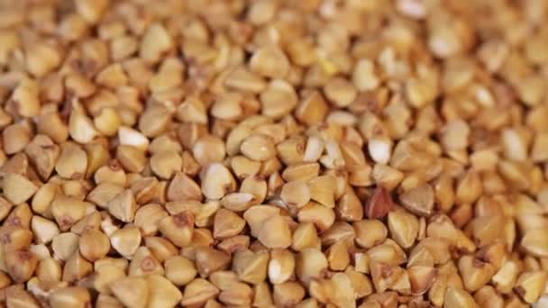 Tarro lleno de trigo sarraceno — Vídeo de stock