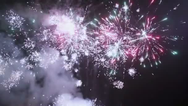 Buntes Feuerwerk — Stockvideo