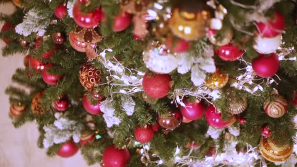 Christmas tree top — Stock Video