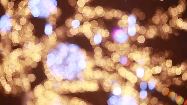 Bokeh de Noël 