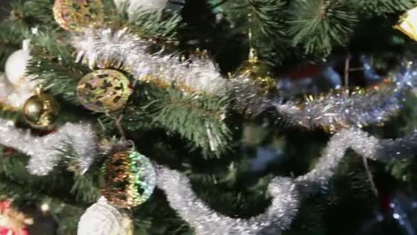 Árbol de Navidad en la oficina — Vídeo de stock