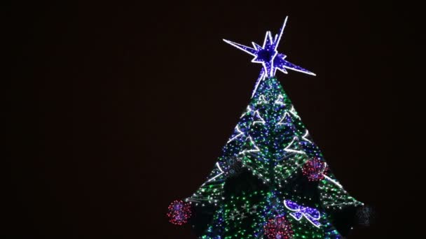 Новогодняя елка — стоковое видео