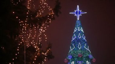 En iyi yeni yıl ağacı