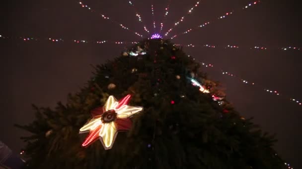 クリスマス ツリーの照明 — ストック動画
