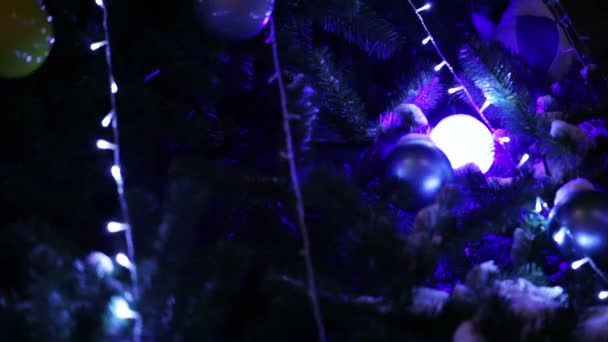 Illumination sur l'arbre de Noël — Video