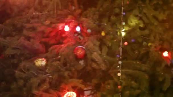 Spettacolo albero di Natale rotante — Video Stock