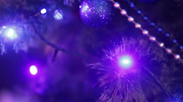 Різдвяна ялинка — стокове відео