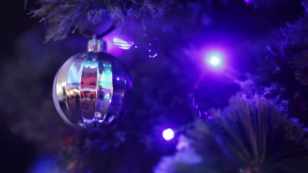 Weihnachtsbaum — Stockvideo