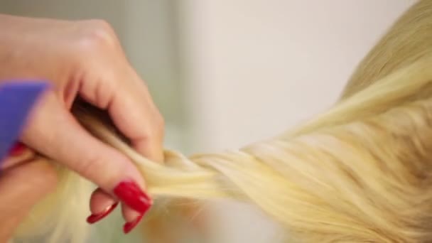 Weaving braids blonde — Stock Video