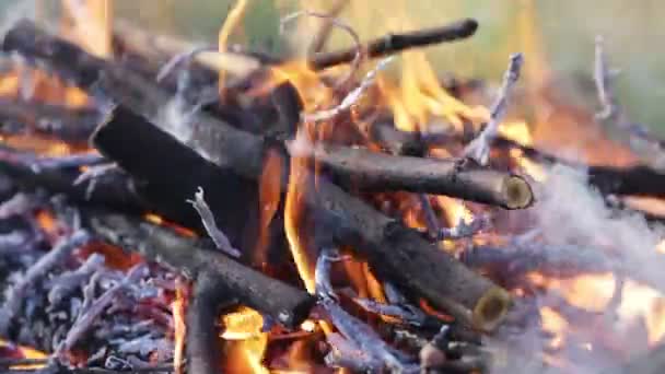 Fuego en Barbacoa — Vídeo de stock