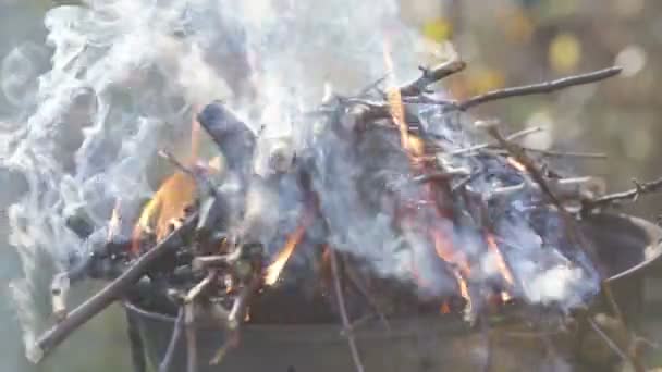 Пожежа в барбекю — стокове відео