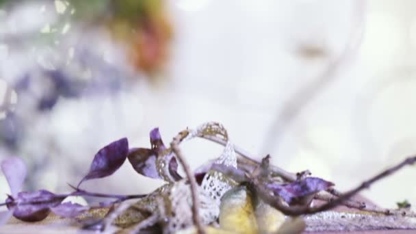 Attaché avec livre de corde 