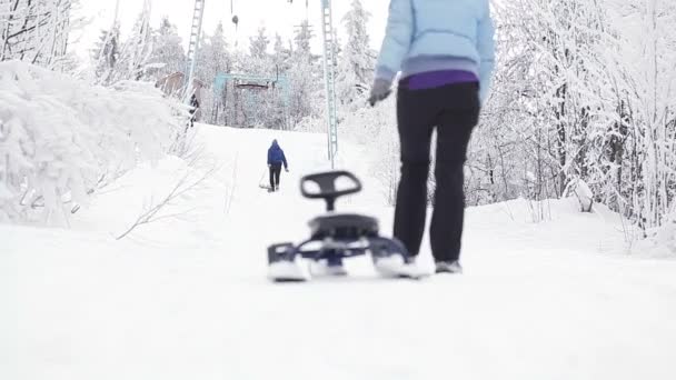 Mädchen mit Schlitten — Stockvideo