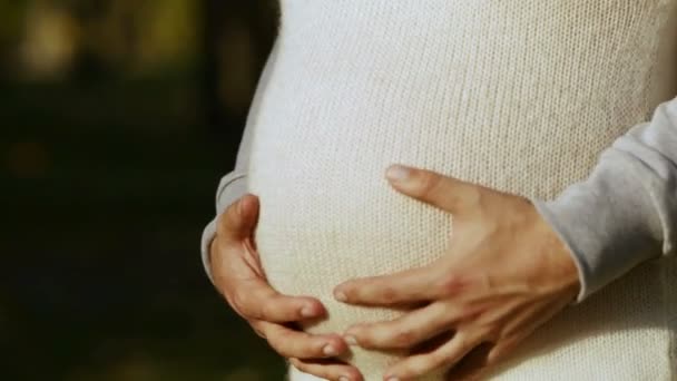 Hands stroking pregnant belly — Stock Video