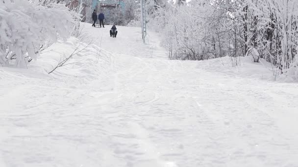 Девушка с санями — стоковое видео