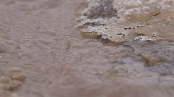Макрос потік гори — стокове відео