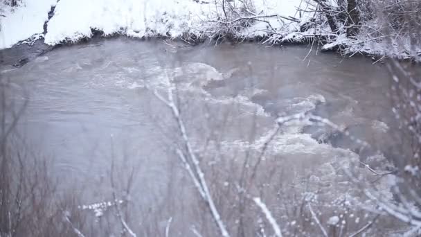 Rivière de montagne — Video