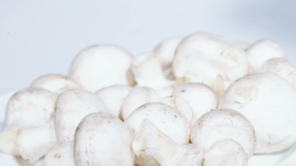 Champignons blancs — Video