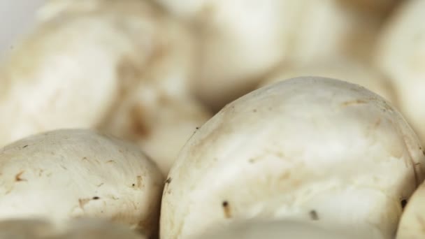 Champignons blancs — Video