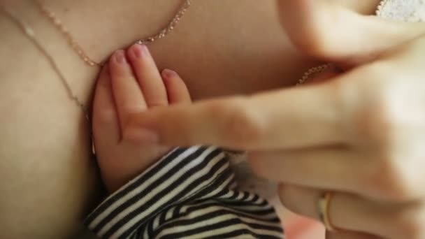 Recém-nascidos maternos — Vídeo de Stock