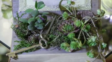 Öğeleri dekor düğün töreni tuşları