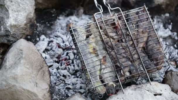 Peixe de água salgada no churrasco grelhado — Vídeo de Stock