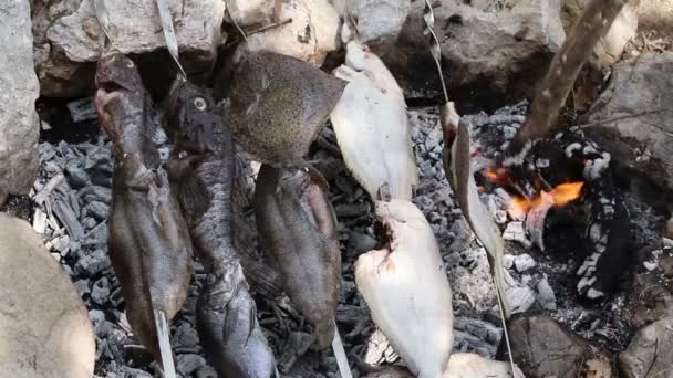 Peces de agua salada en pincho — Vídeo de stock