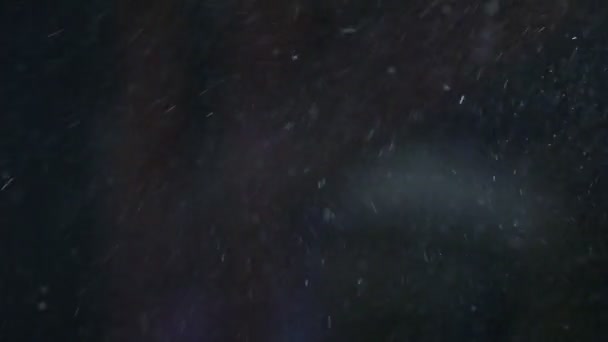 自然的浮尘 — 图库视频影像